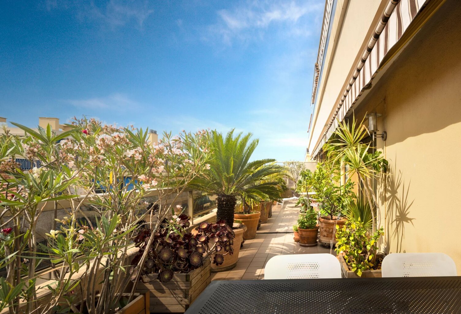 3 PIECES + TERRASSE 60 M2 — photo 1