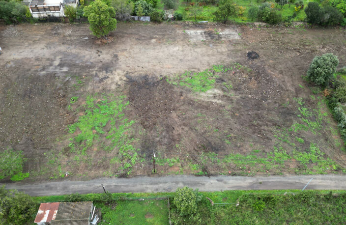 Terrain constructible à Ghisonaccia — photo 4