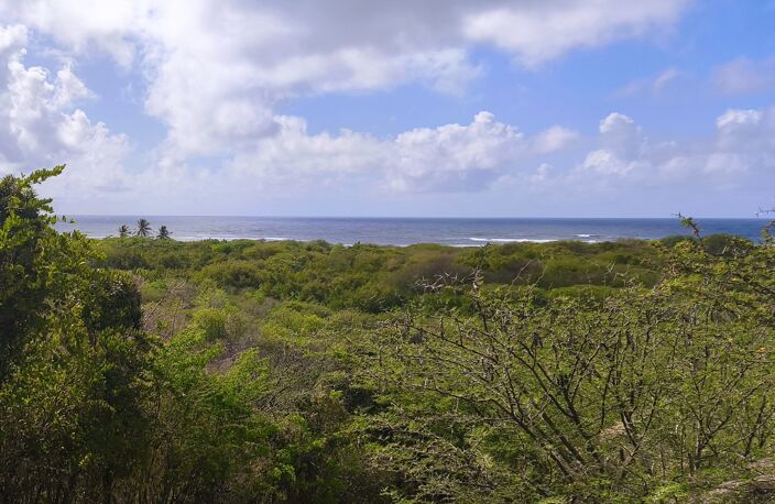 CAP CHEVALIER - SAINTE-ANNE | TERRAIN CONSTRUCTIBLE VUE MER — photo 4