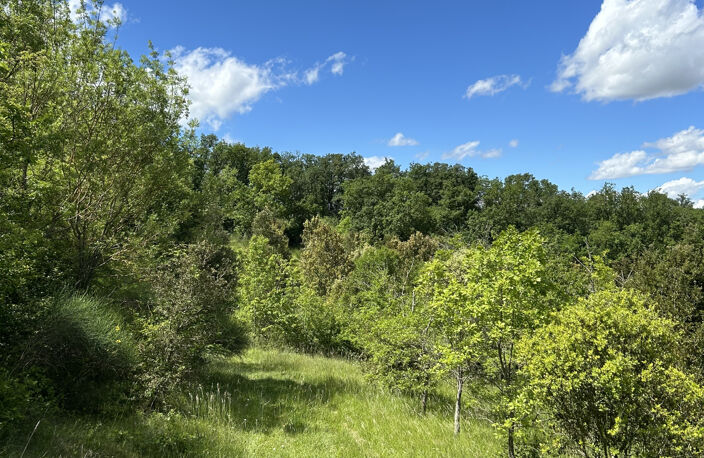 Un havre de paix au coeur de la nature - Domaine de charme su — photo 5