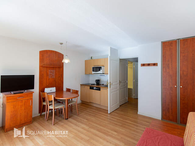 [A VENDRE] T1 AVEC COIN CABINE, BALCON, PARKING ET CASIER À SKIS — photo du bien