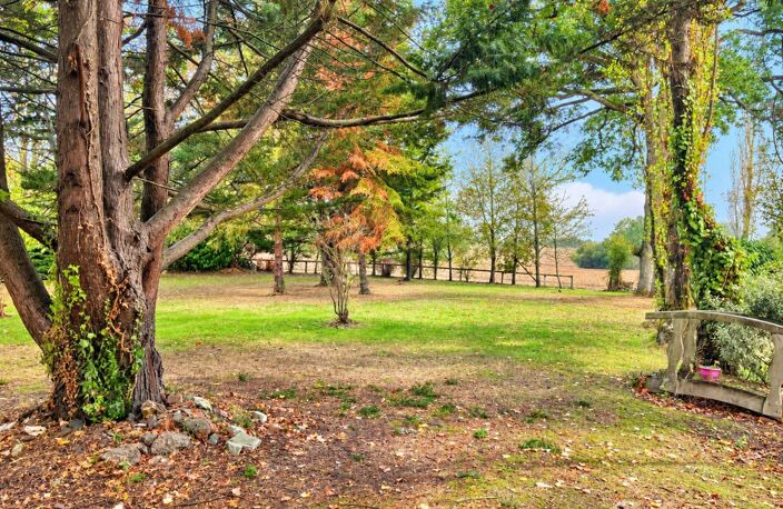 MAISON DE VILLAGE  5 CHAMBRES  GRAND TERRAIN DE 3 827 M² ET DÉPENDANCES / SECTEUR VAL DU MAINE / 53340 — photo 5