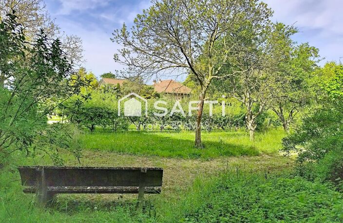 Maison avec sous-sol complet et grand terrain arboré — photo 3