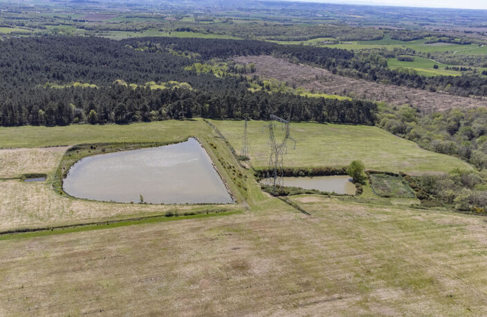 A 58 min de Toulouse - Propriété de 90 hectares d'un seul te — photo 2