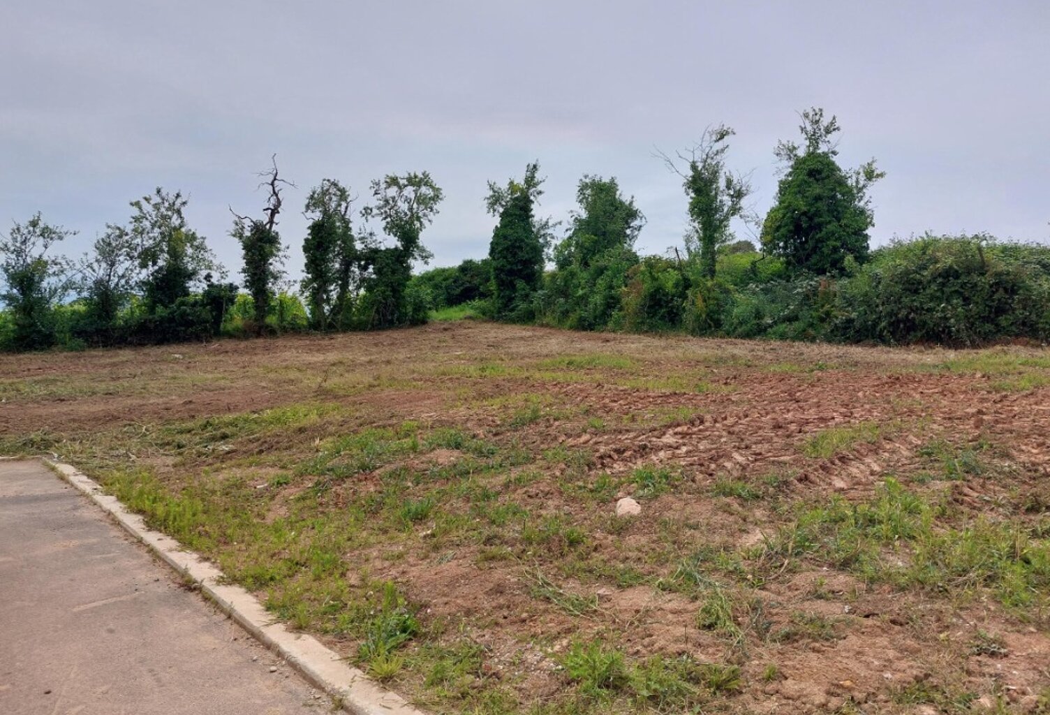 Programme Au pinot à CHÂTENOIS — photo 1