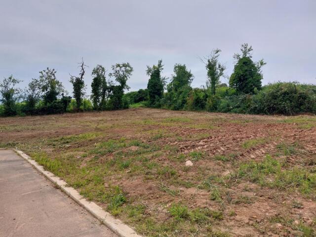 Terrain proposé à Châtenois