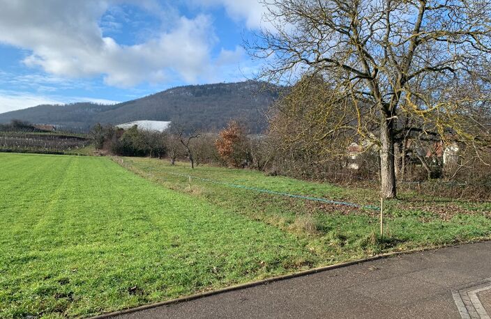 Programme Au pinot à CHÂTENOIS — photo 2