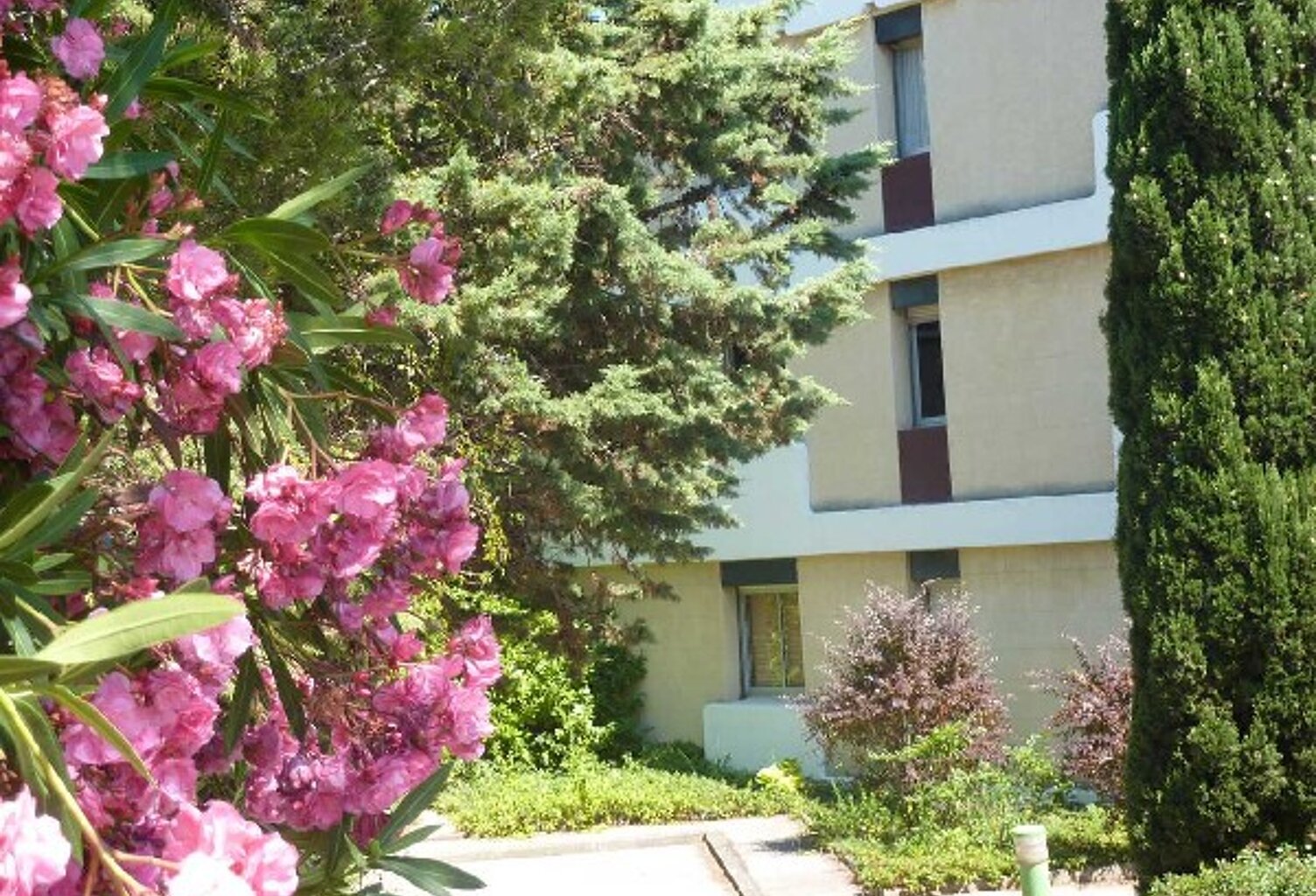 Vente appartement 1 pièce 30 m² Bandol (83150) — photo 1