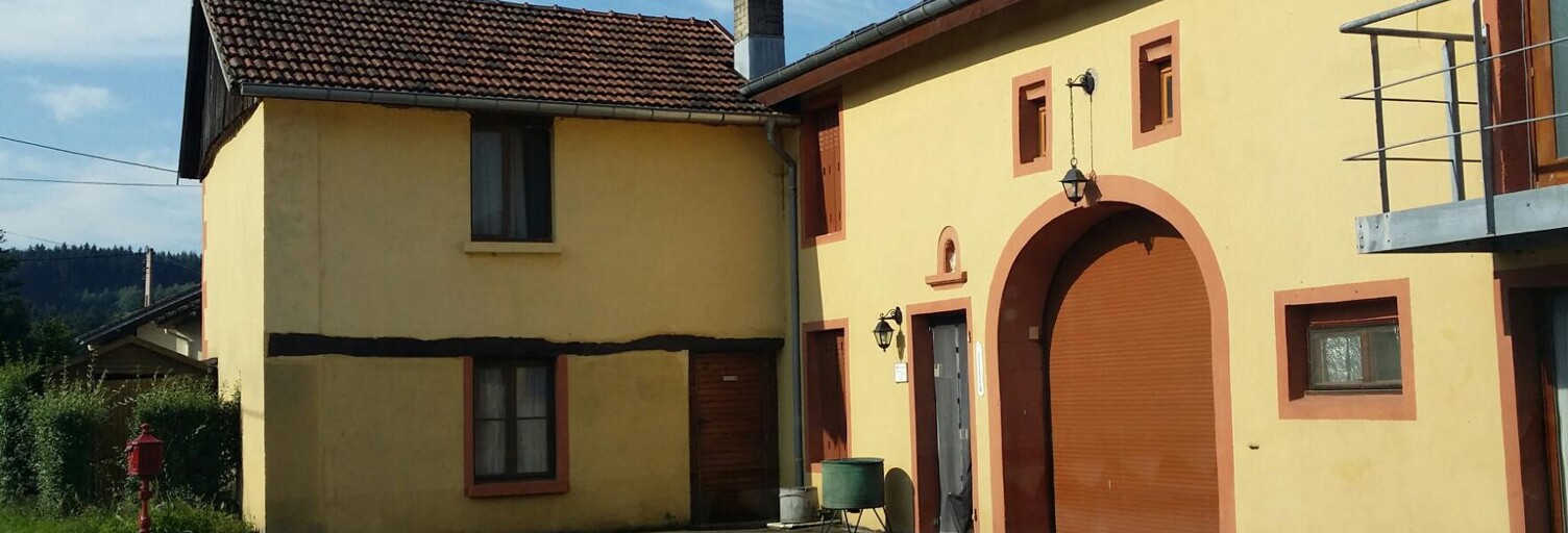 Maison 7 Pièces 250 m² à vendre à Prey (88600)