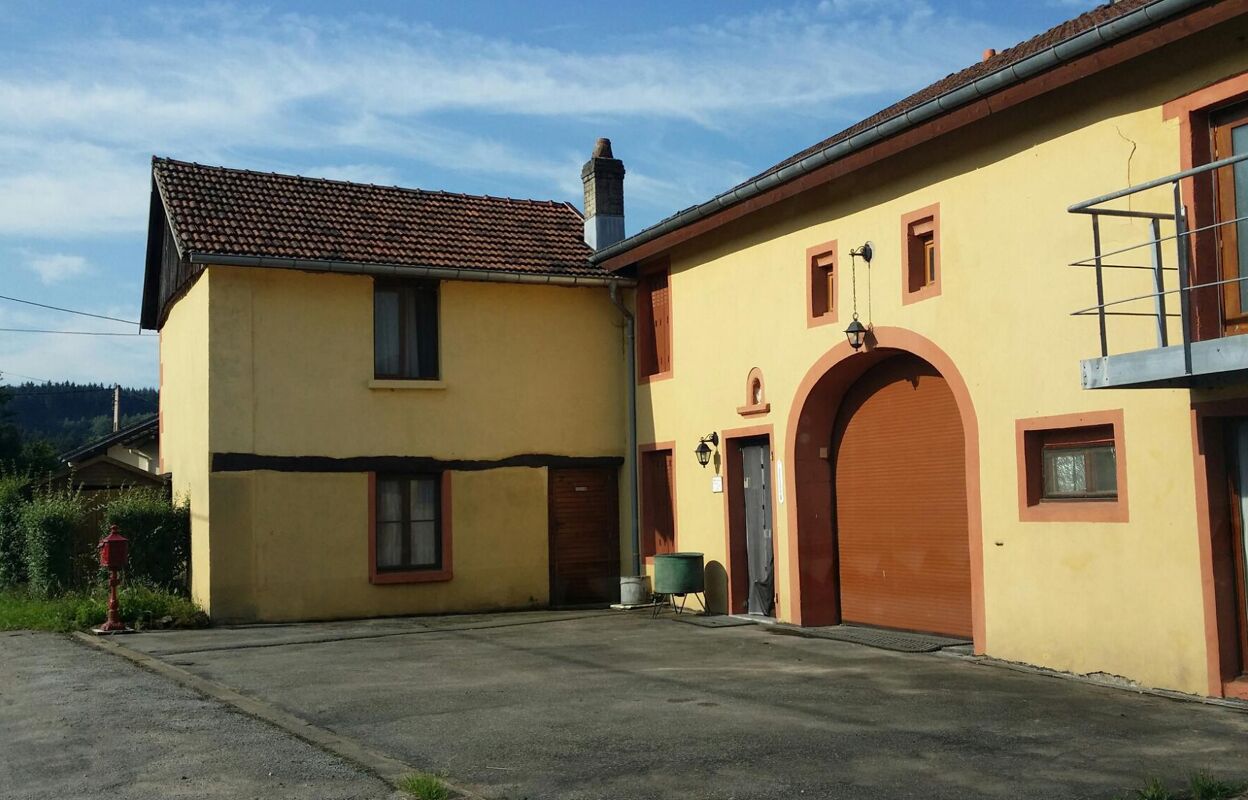 maison 7 pièces 250 m2 à vendre à Prey (88600)