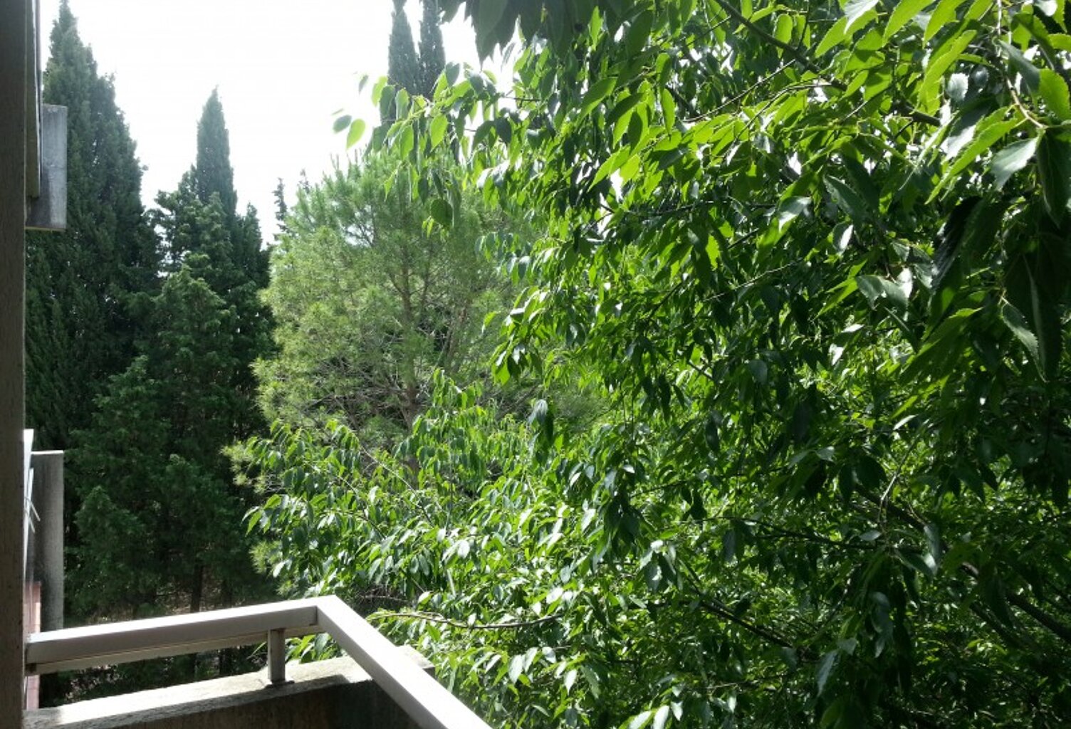 Location appartement  28 m² à Montpellier (34090) — photo 1