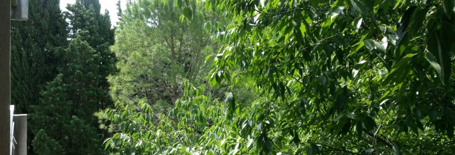 Appartement  28 m² à louer à Montpellier (34090)