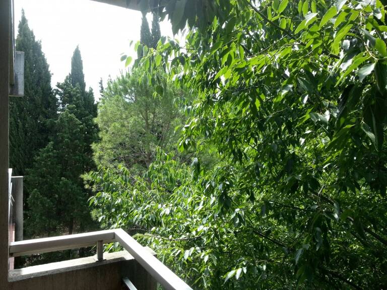 Appartement  28 m² — photo 1