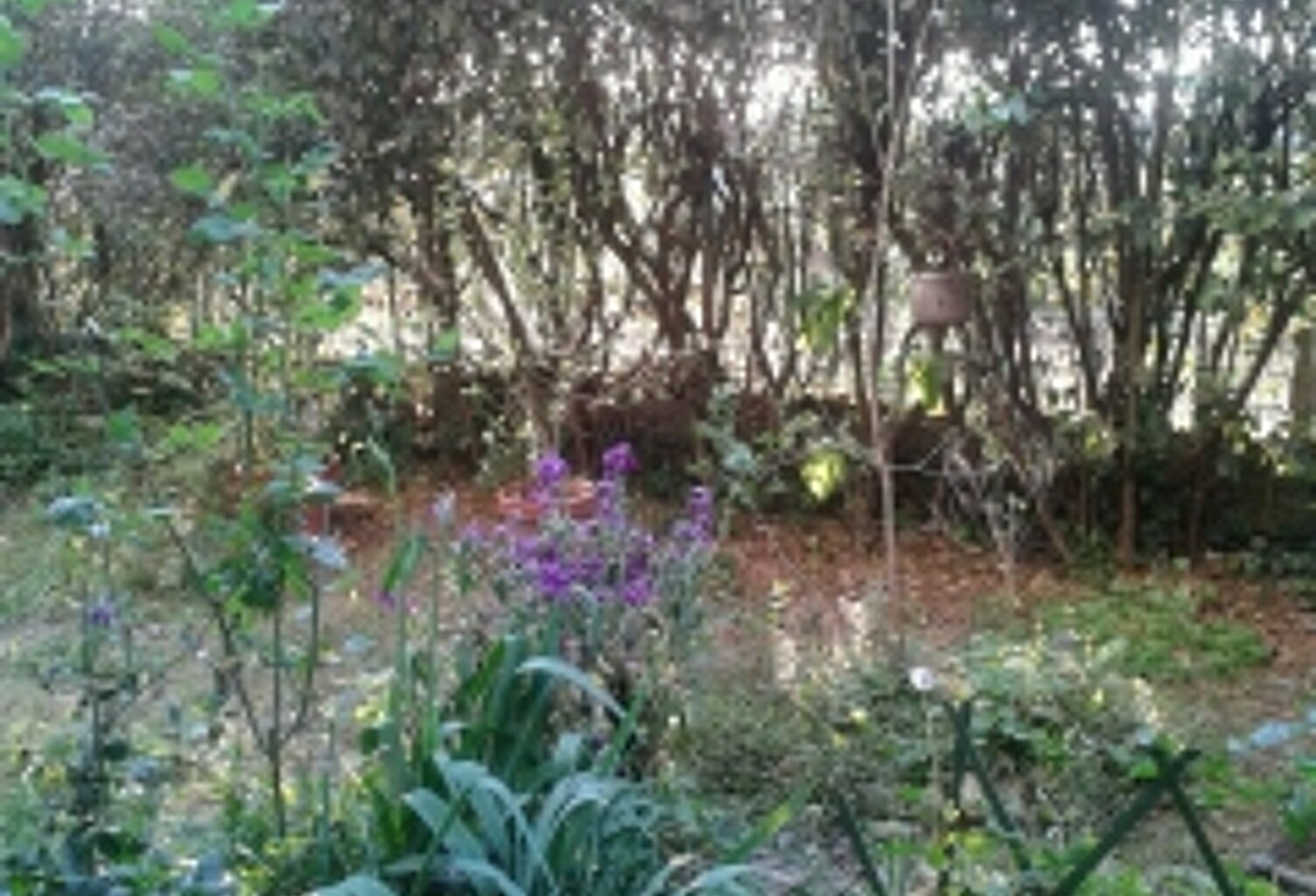 Location appartement 2 pièces 51 m² à Montpellier (34080) — photo 1