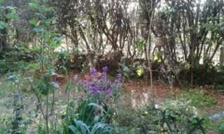 Appartement 2 Pièces 51 m² à louer à Montpellier (34080)