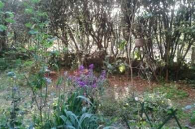 Appartement 2 pièces 650 €