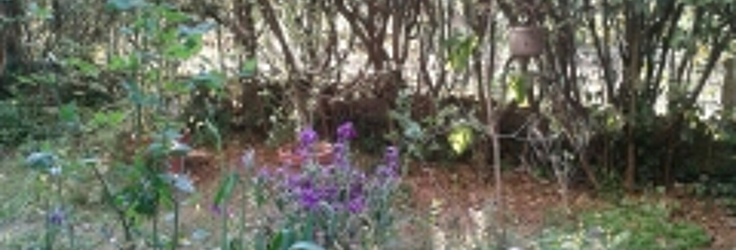 Appartement 2 Pièces 51 m² à louer à Montpellier (34080)