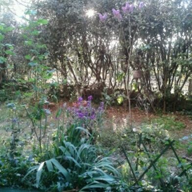 Appartement 2 pièces 650 €