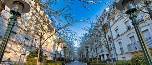 Immobilier à Le Plessis Robinson (92350) les tendances immobilières 2025