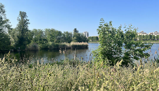 Immobilier Alfortville (94140)