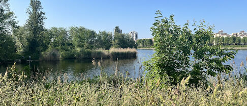 Immobilier Alfortville (94140)