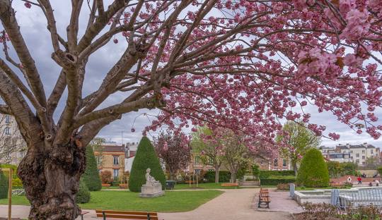 Immobilier à Asnières-sur-Seine (92600) : la valeur sûre du nord-ouest parisien