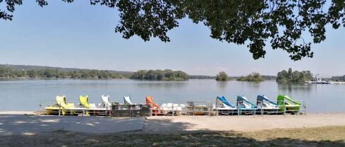 Immobilier à Décines Charpieu (69150), les chiffres de 2025 à découvrir