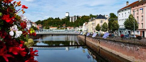 Immobilier à Epinal (88000) les tendances du marché 2025