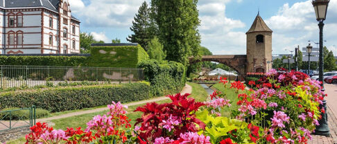 Immobilier Haguenau (67500), les chiffres clés de 2025