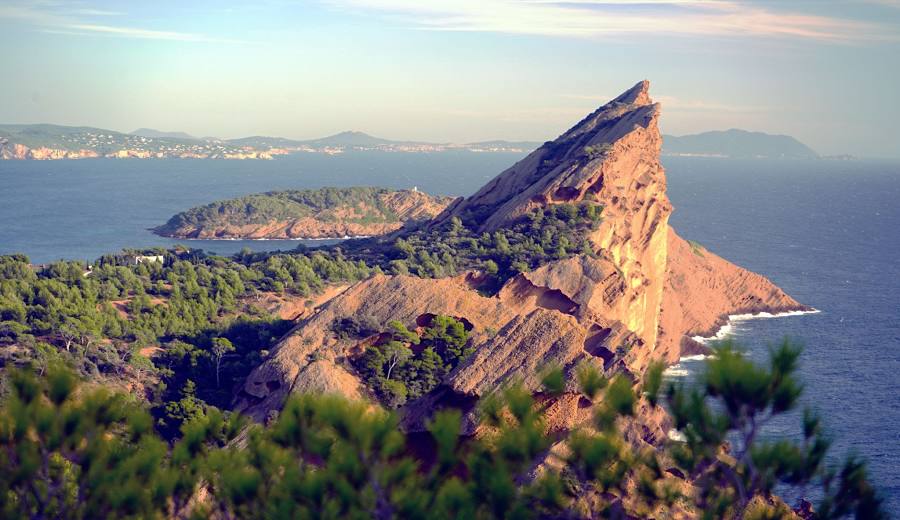 Immobilier à La Ciotat (13600) la revu des prix et du marché pour 2025