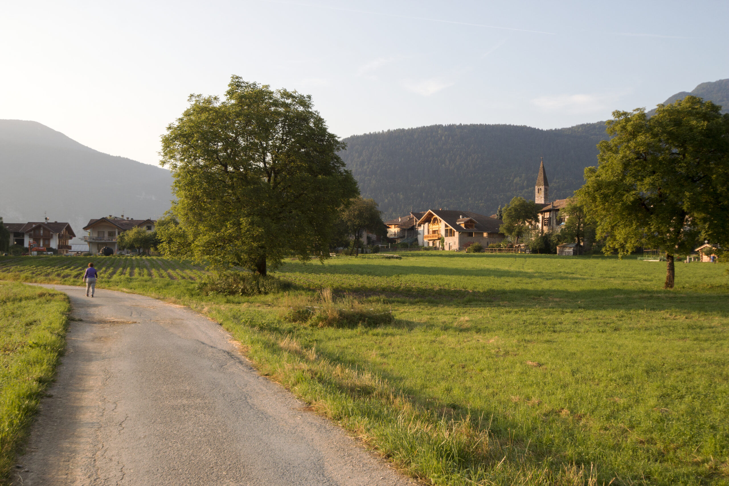 Campagne française : le retour en grâce de l’immobilier rural en 2025
