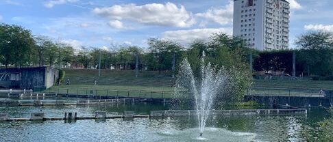 Immobilier à Saint Etienne de Rouvray (76800) les valeurs immobilières de 2025