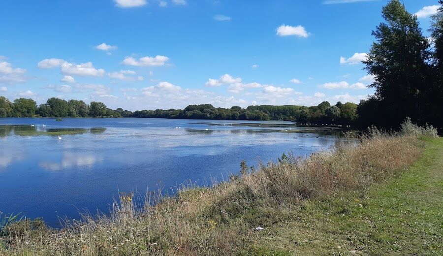 Immobilier à Villeneuve d’ascq (59), les chiffres clés et les tendances