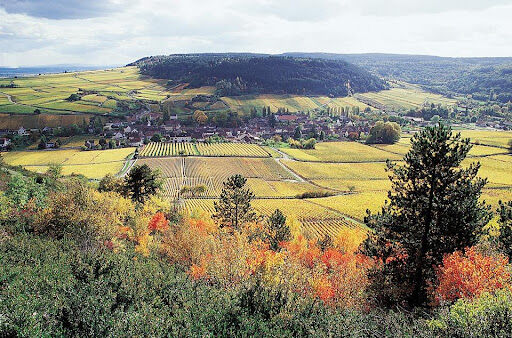 Immobilier Côte-d’Or (21) : prix au m², villes, tendances 2026