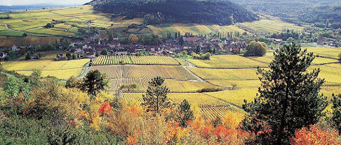 Immobilier Côte-d’Or (21) : prix au m², villes, tendances 2026