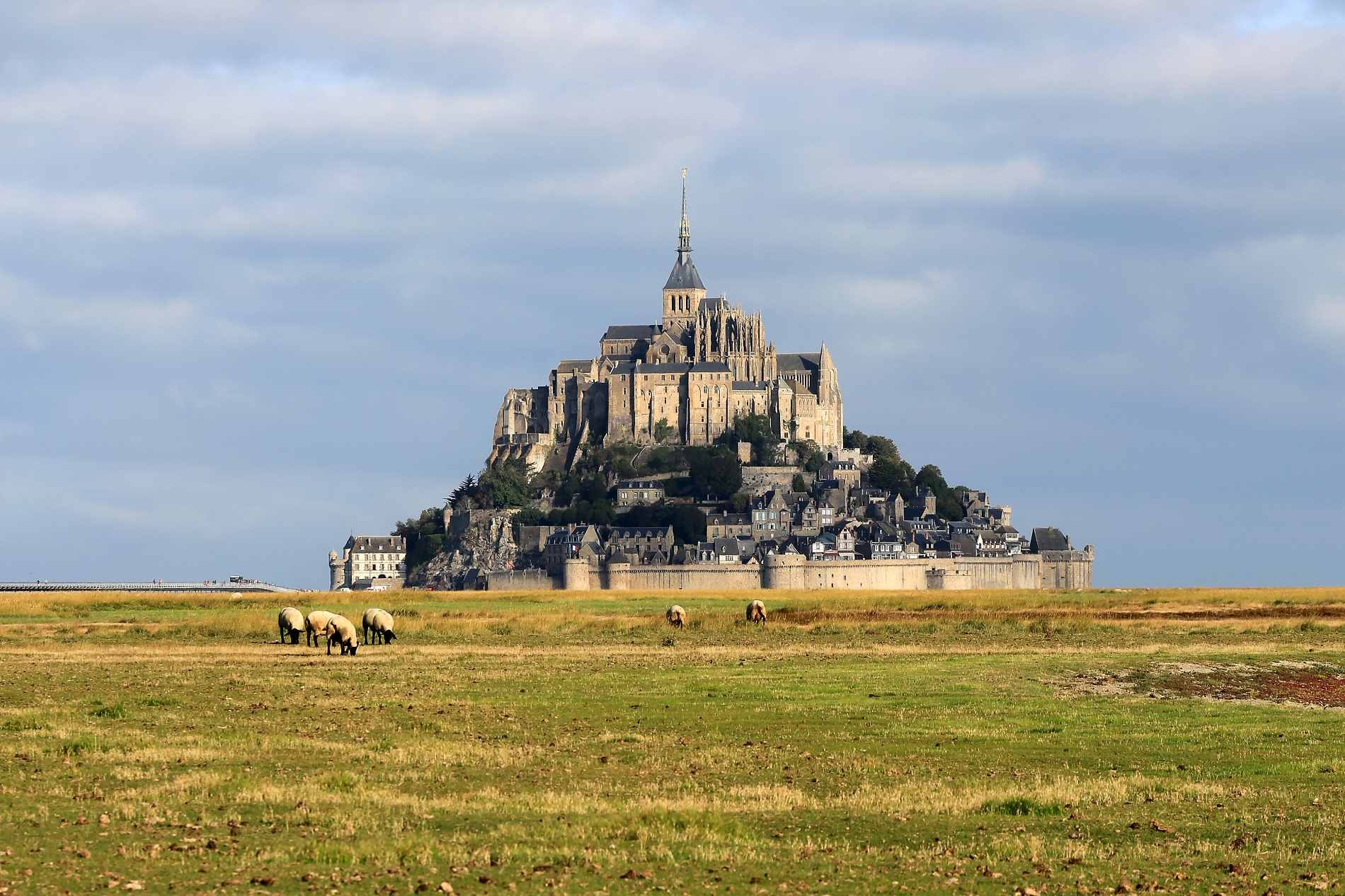 Immobilier dans la Manche (50) : prix, tendances et villes clés 2026