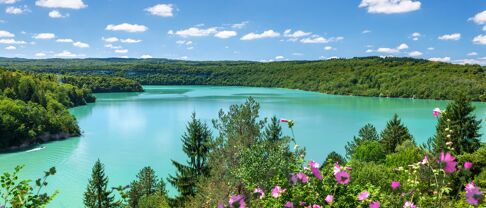 Immobilier Jura (39) : prix au m², villes, tendances 2026