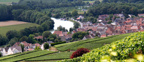 Immobilier Marne (51) : prix au m², villes, tendances 2026