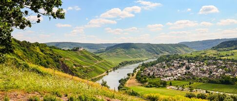 Analyser le marché immobilier à Castelnau le Lez en 2026