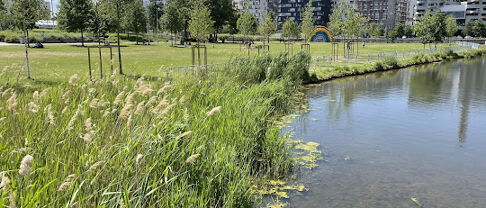 Découverte de Villeneuve-la-Garenne et son marché immobilier