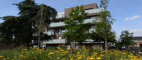 Quelles sont les caractéristiques du marché immobilier à Chevilly-Larue ?