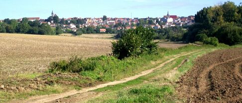 Pourquoi investit-on dans l’immobilier à Dammartin-en-Goële ?