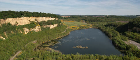 Quelle est la situation immobilière à Freyming Merlebach ?
