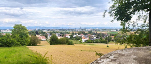 Quel est l’état du marché immobilier à Lingolsheim?