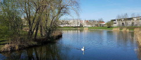 Quelles sont les caractéristiques du marché immobilier à Lognes ?