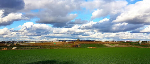 Comment se porte le marché immobilier de Montesson ?