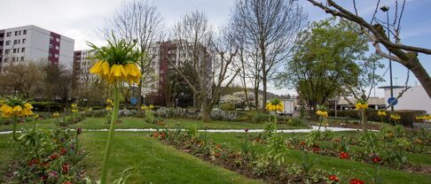 Comment se présente le marché immobilier à Montigny les Cormeilles ?